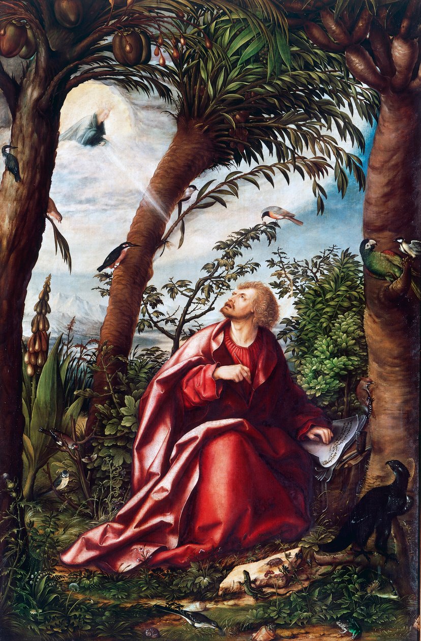 Visione di San Giovanni a Patmos (dettaglio) da Hans Burgkmair