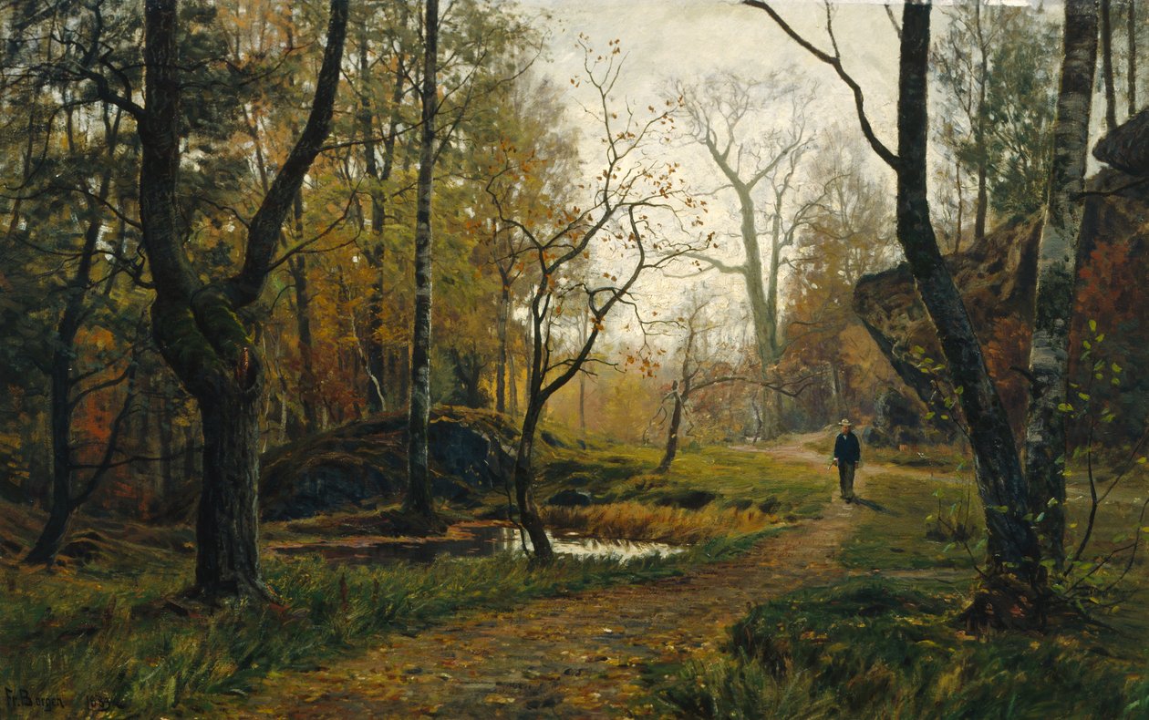 Atmosfera mattutina da Hans Fredrik Henriksen Borgen