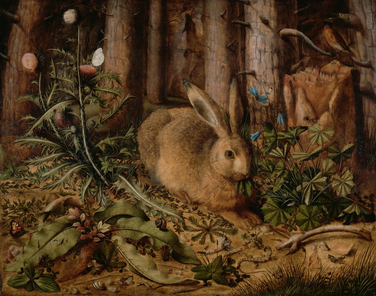 Una lepre nella foresta da Hans Hoffmann