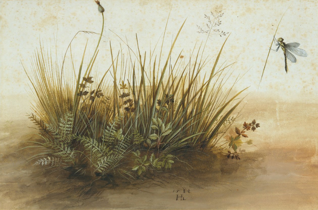 Un piccolo pezzo di prato da Hans Hoffmann