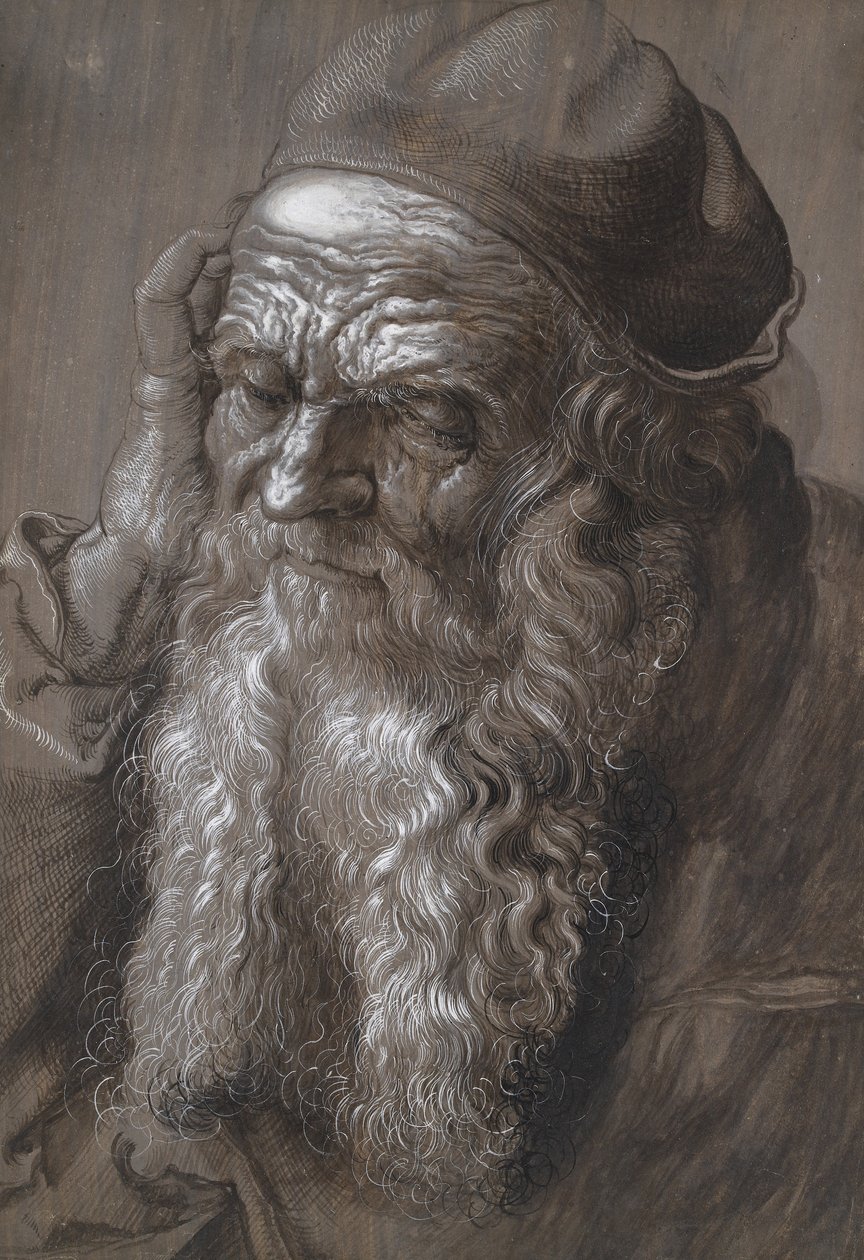 Un vecchio di 93 anni: San Girolamo (pennello e inchiostro) da Hans Hoffmann