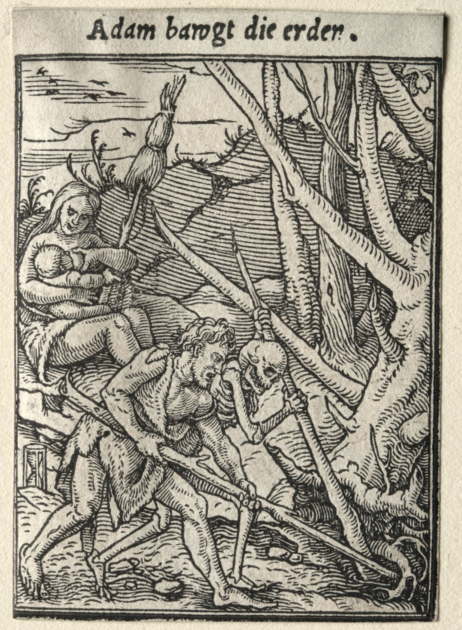 Danza della Morte: Adamo che ara il terreno da Hans Holbein