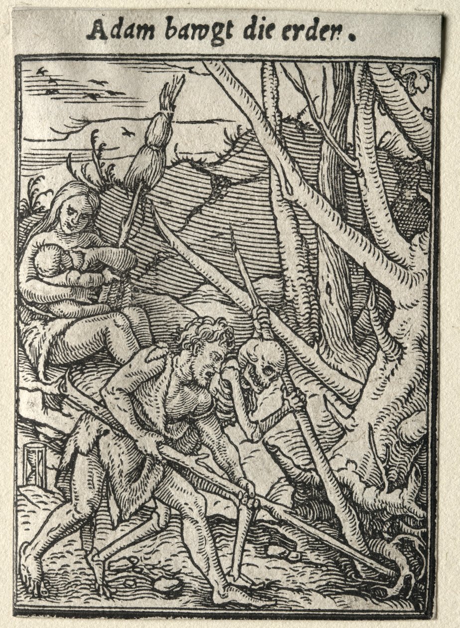 Danza della Morte: Adamo che Lavora la Terra da Hans Holbein