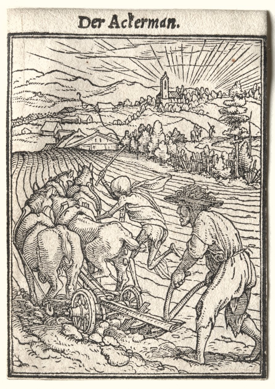 Danza della morte: Il contadino da Hans Holbein