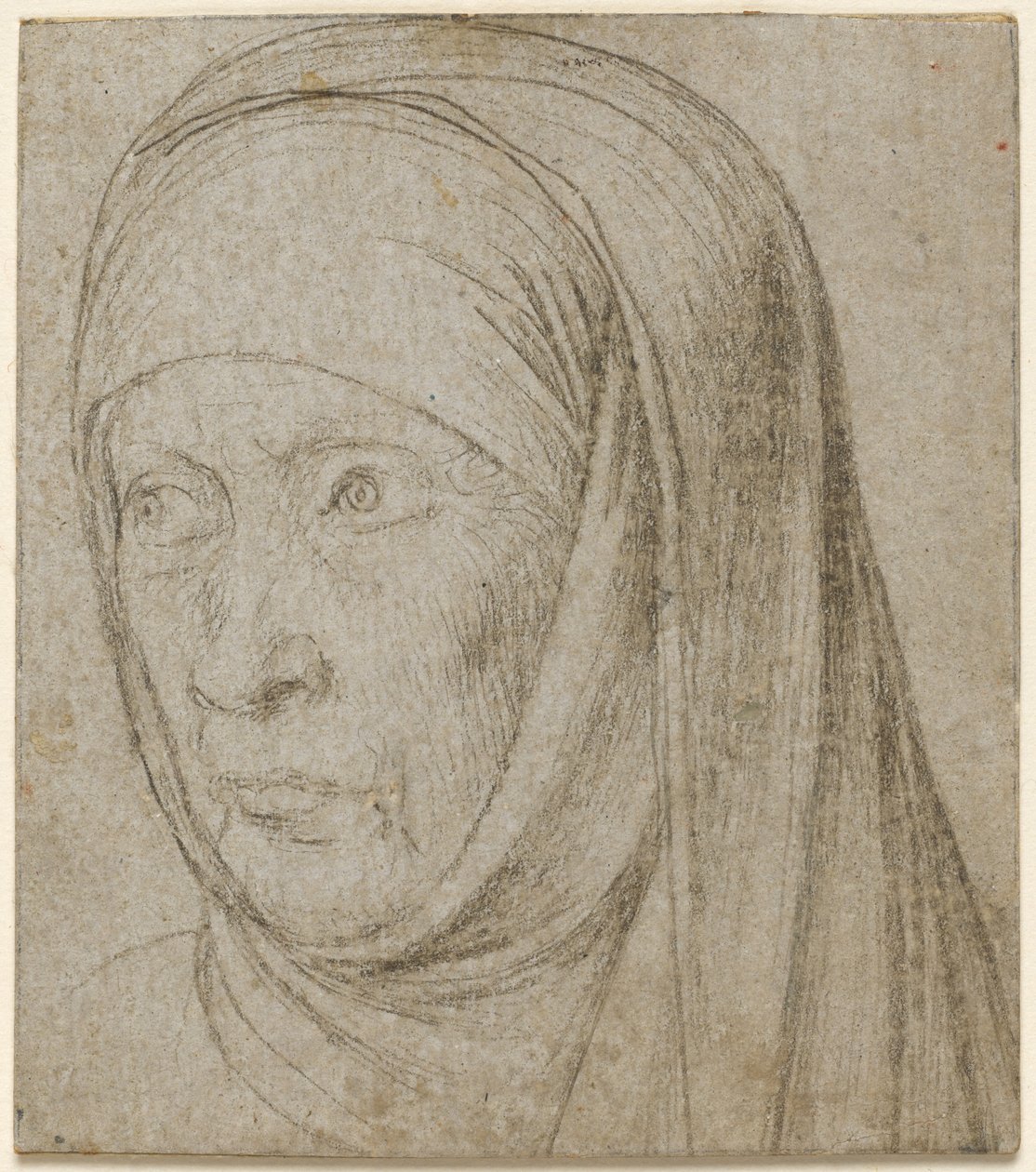Testa di una vecchia donna da Hans Holbein
