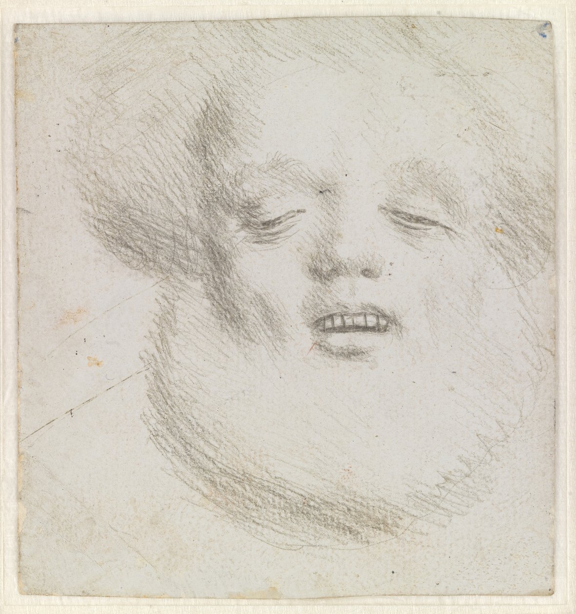Testa di uomo barbuto en face visto dal basso da Hans Holbein d.Æ.