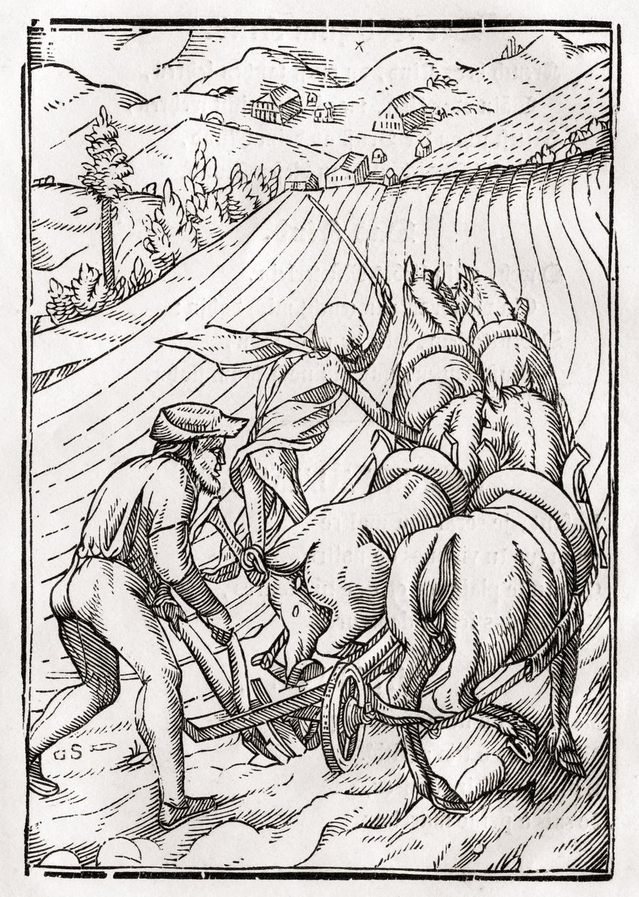 La Morte arriva per il Contadino, inciso da Georg Scharffenberg, da 
