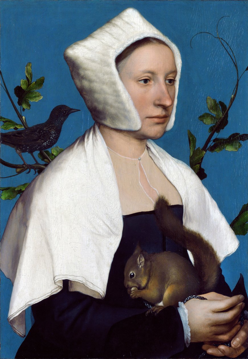 Dama con scoiattolo e storno, c.1526-28 da Hans Holbein der Jüngere