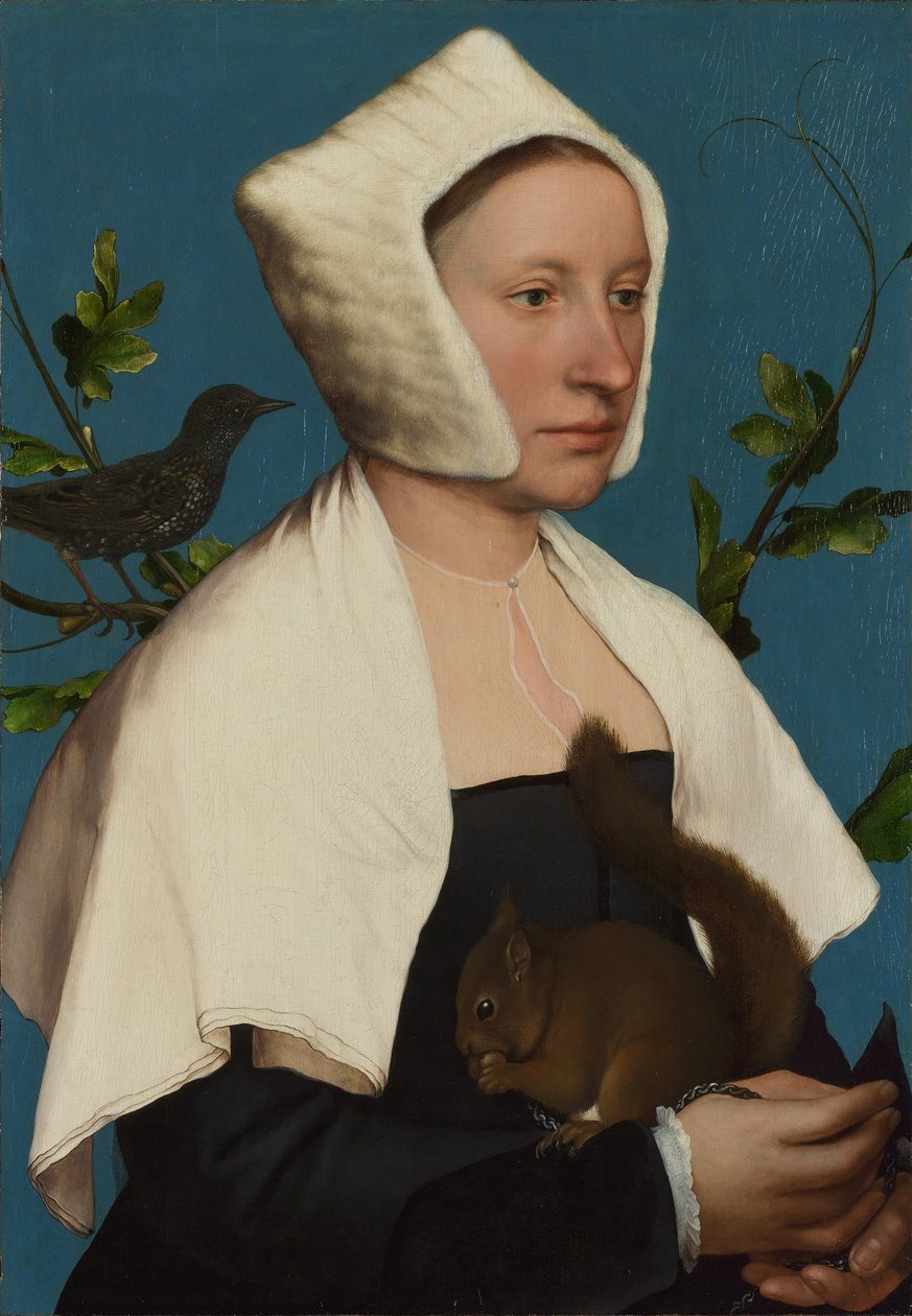 Una signora con uno scoiattolo e uno storno (Anne Lovell)  da Hans Holbein the Younger