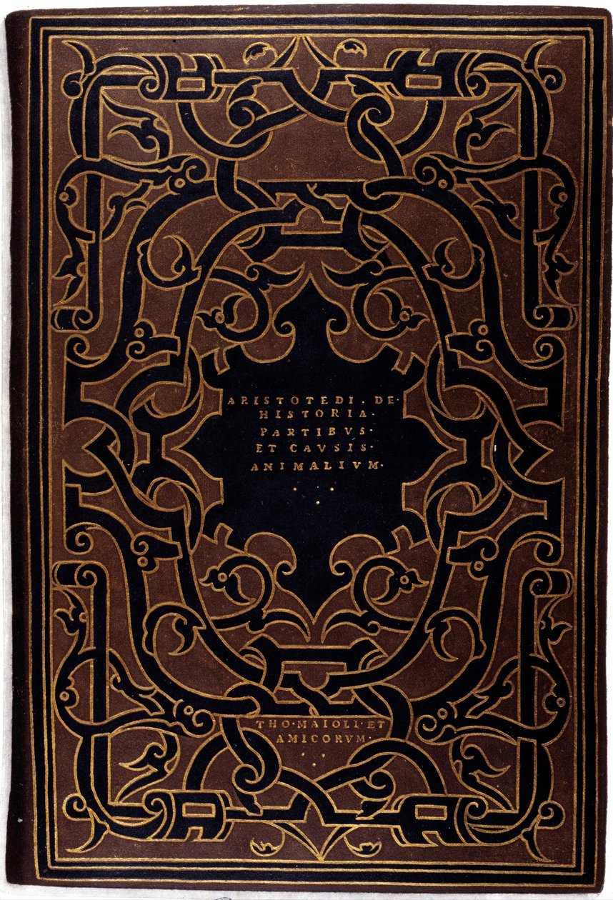 Rilegatura della collezione 