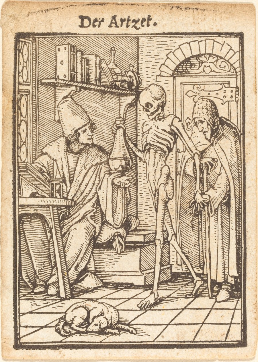 Il medico da Hans Holbein der Jüngere