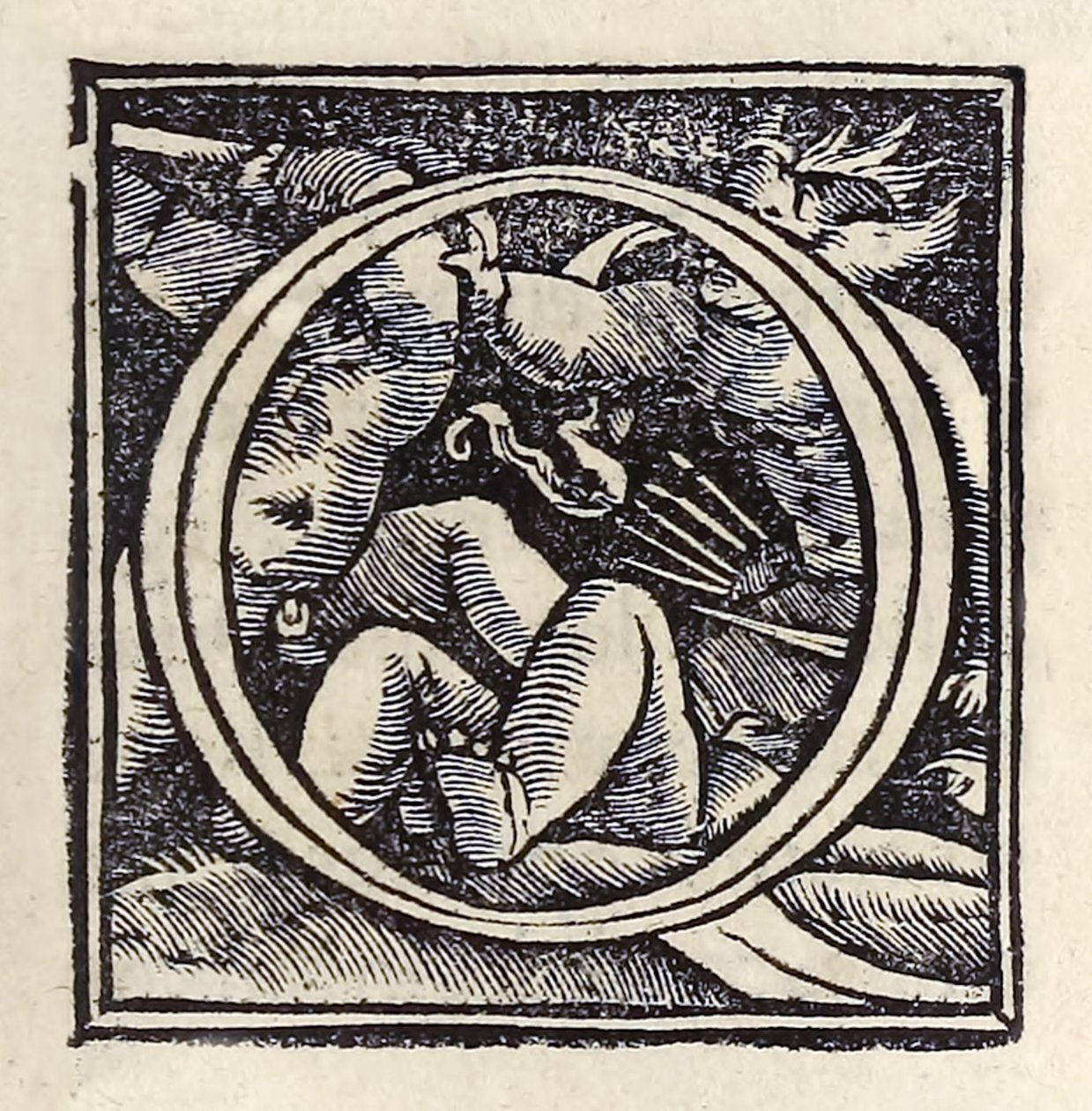 "O" illuminata dalla terza edizione di Basilea del 1518 di 