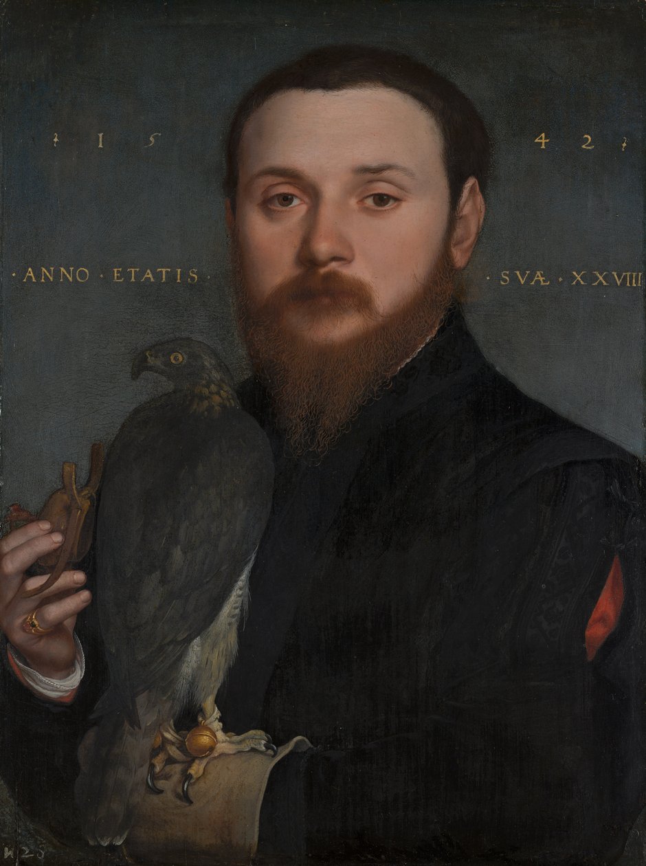 Ritratto di un nobile con un falco da Hans Holbein der Jüngere