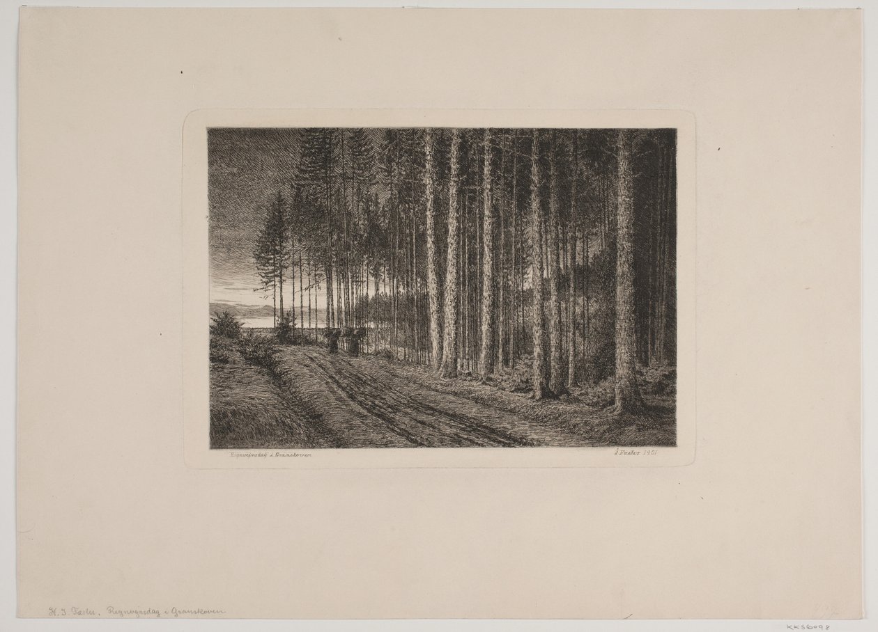 Giorno di pioggia nella foresta di abeti da Hans Julius Fæster