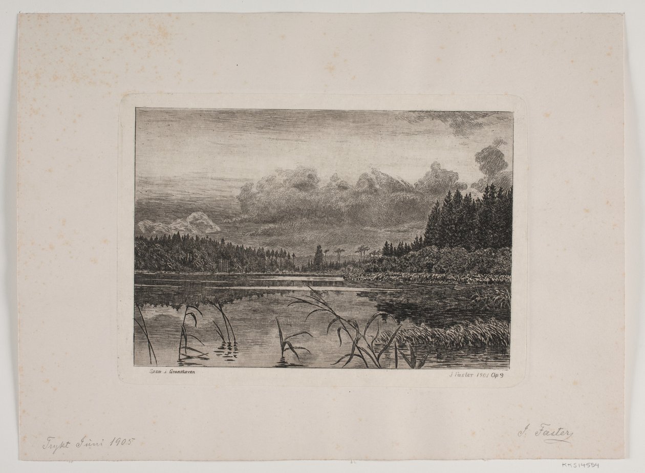 Lago nella foresta di abeti da Hans Julius Fæster