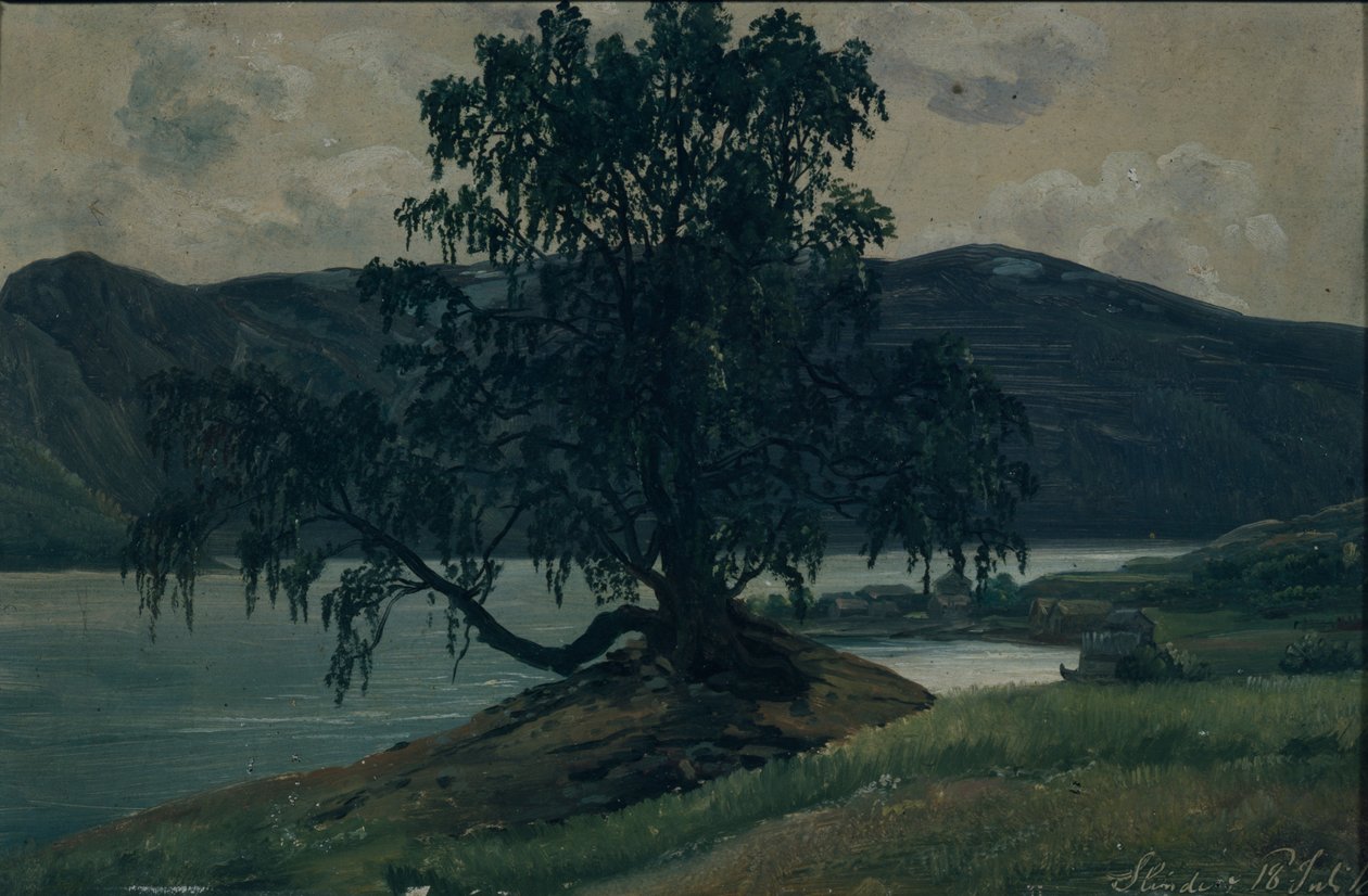 La betulla da Hans Leganger Reusch