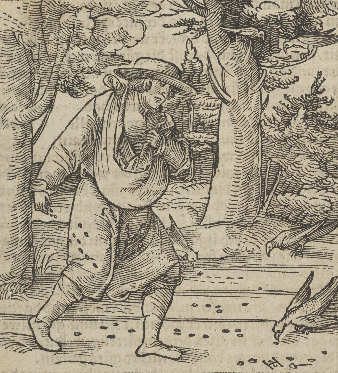 Gli uccelli mangiano i semi del seminatore, da Hymmelwagen auff dem, wer wol lebt... da Hans Schäufelein the Elder