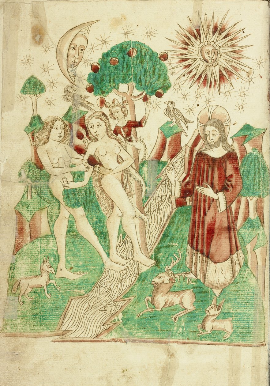 Il giardino dell