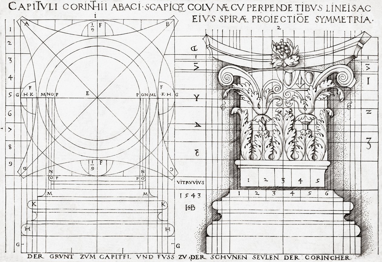 Sezione trasversale di un capitello corinzio e disegno proporzionale da Hans Sebald Beham