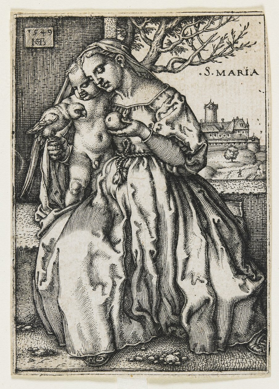 Vergine e Bambino con un pappagallo, 1549 da Hans Sebald Beham