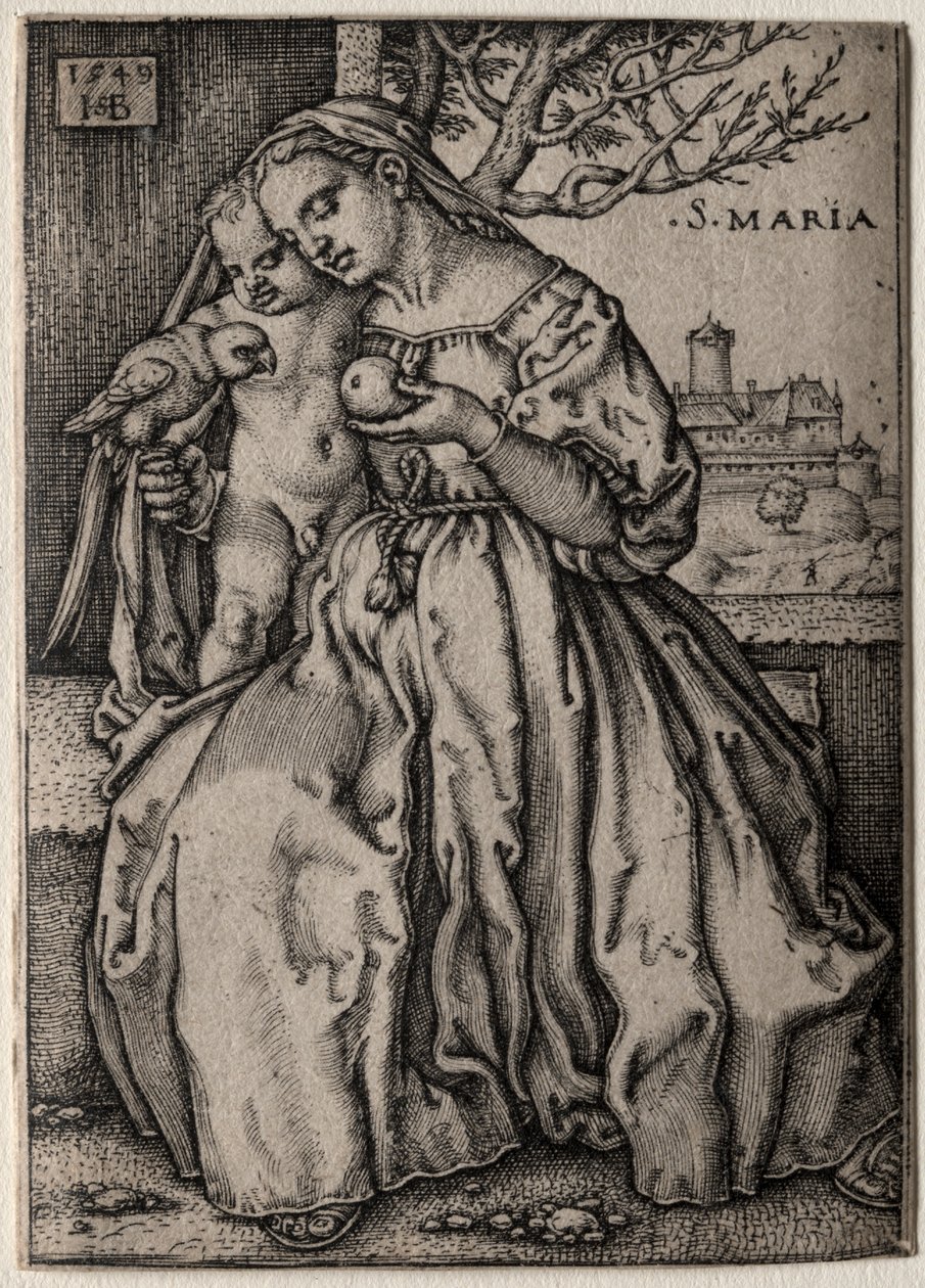 Vergine con il Pappagallo da Hans Sebald Beham