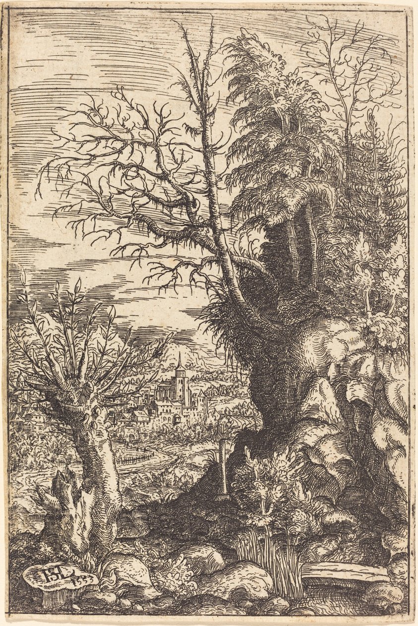 Paesaggio con un salice da Hans Sebald Lautensack