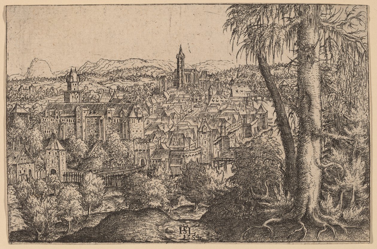 Veduta di Steyr sull