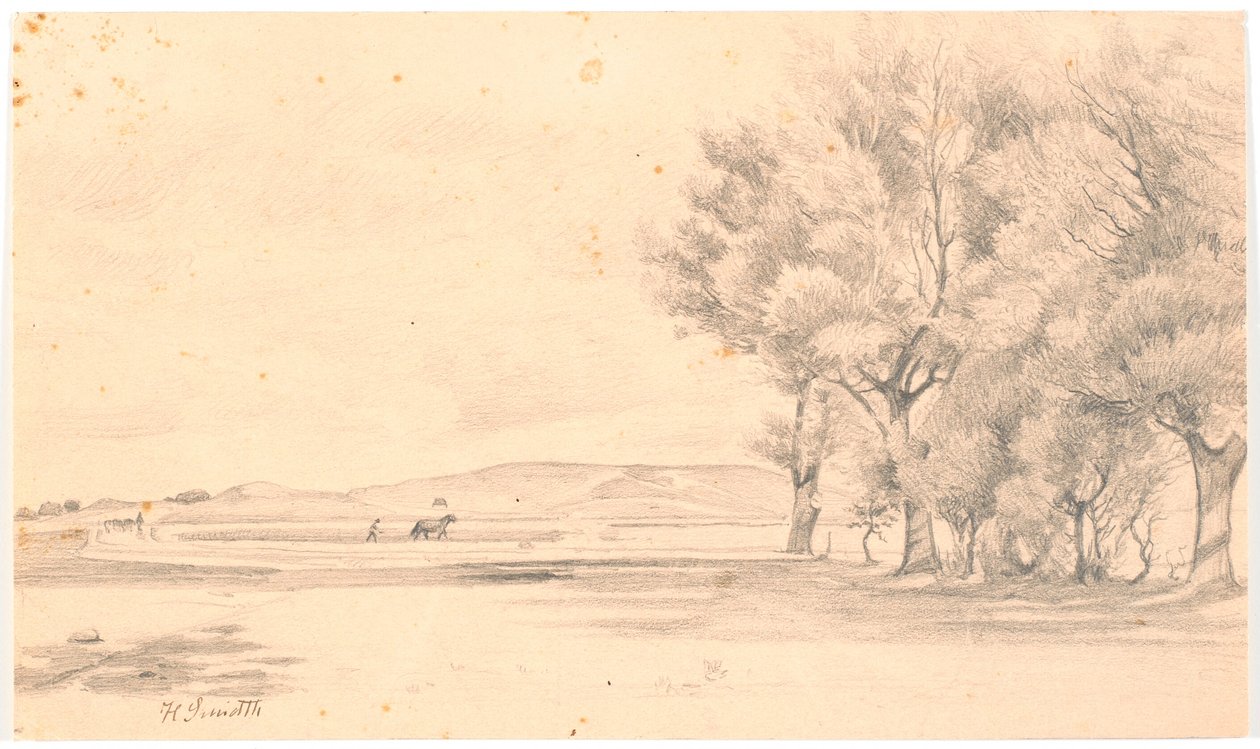 Paesaggio con campo arato; a destra alberi alti da Hans Smidth