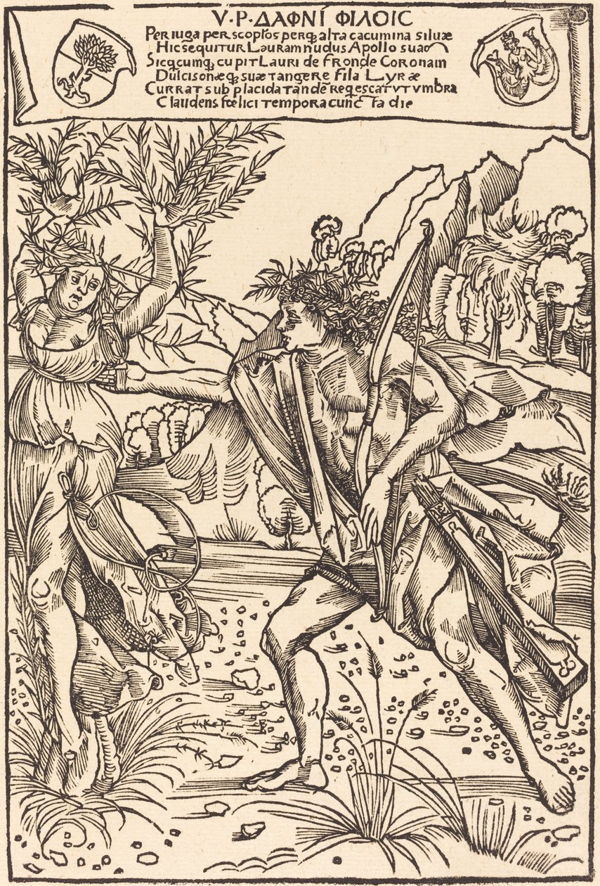 Apollo e Dafne da Hans Süss von Kulmbach