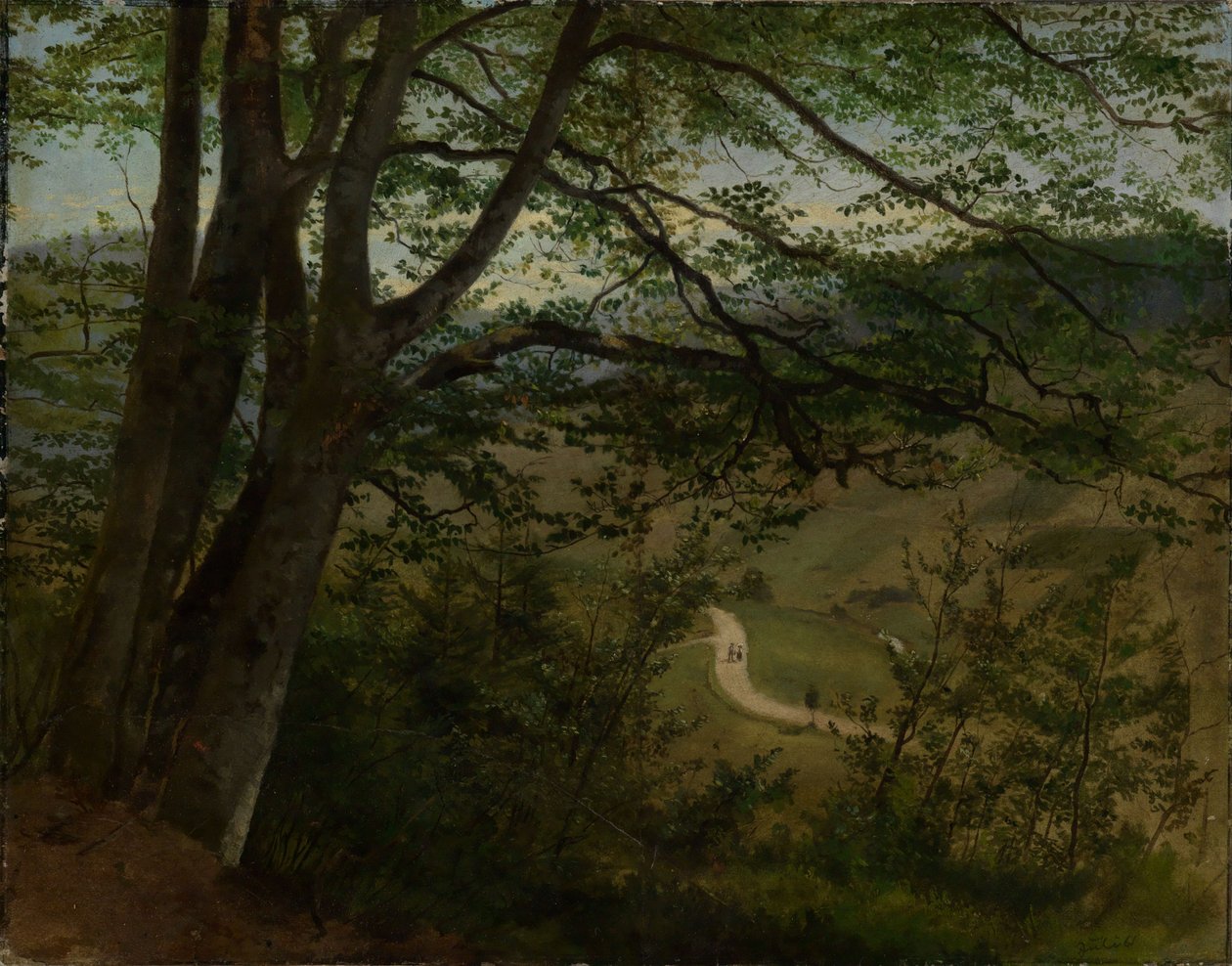 Vista sulla valle attraverso alberi e cespugli da Hans Thoma