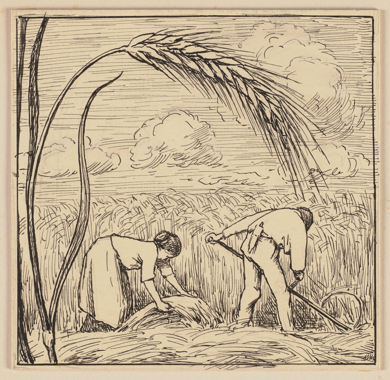 Disegno per il libro di elementari: Spiga di grano da Hans Thoma