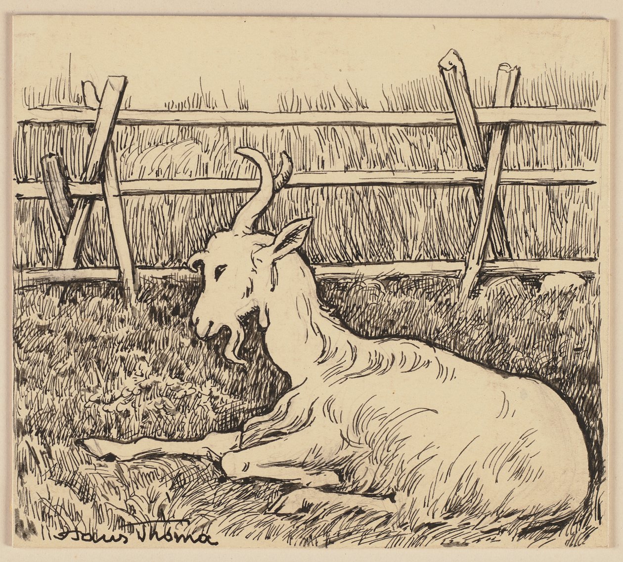 Disegno per l