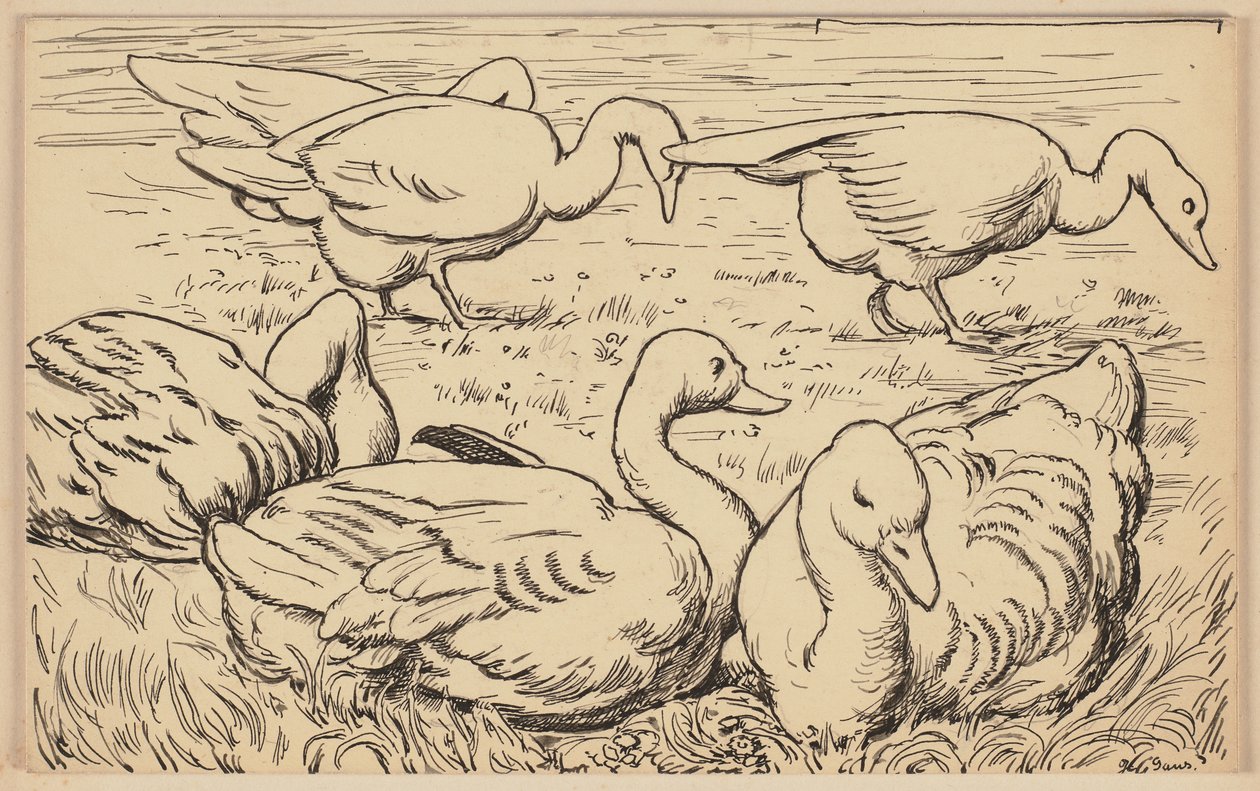 Disegno per il libro di lettura: Oca da Hans Thoma