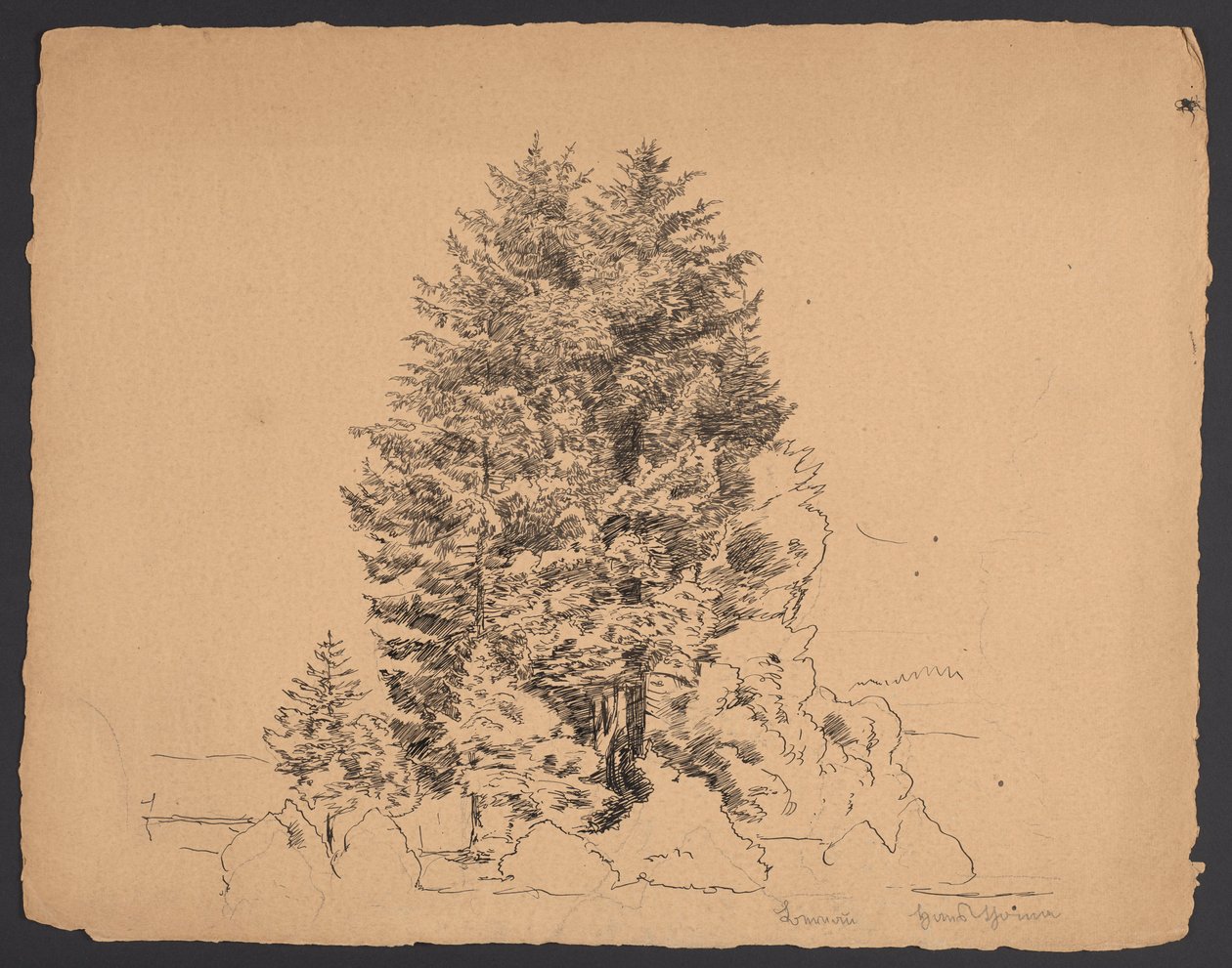 Gli alberi a Bernau da Hans Thoma
