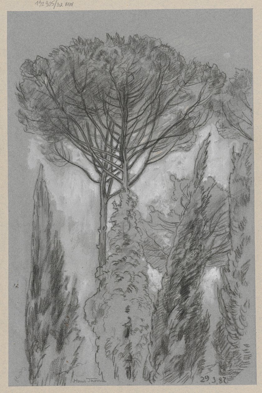 Alberi a Firenze da Hans Thoma