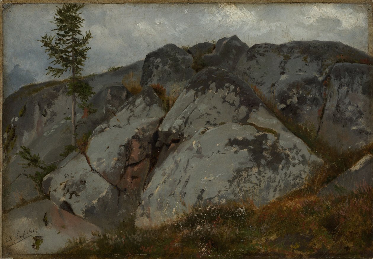 Massi rocciosi con alberelli di abete da Hans Thoma