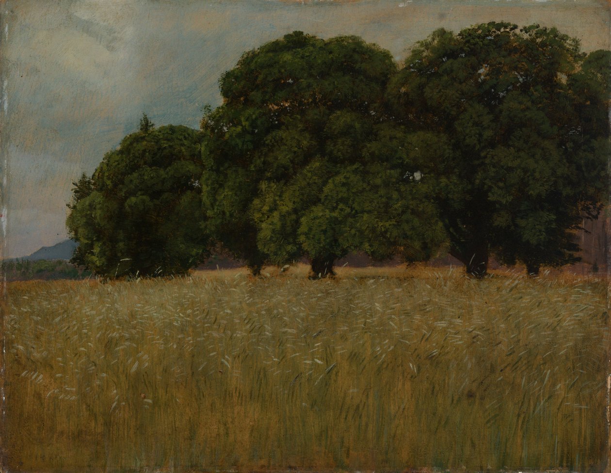 Campo di grano con alberi a foglia caduca da Hans Thoma