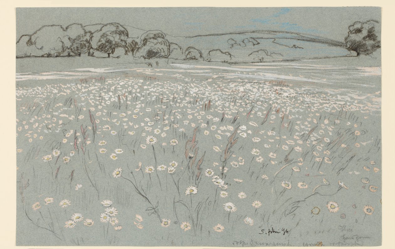 Prato con margherite da Hans Thoma