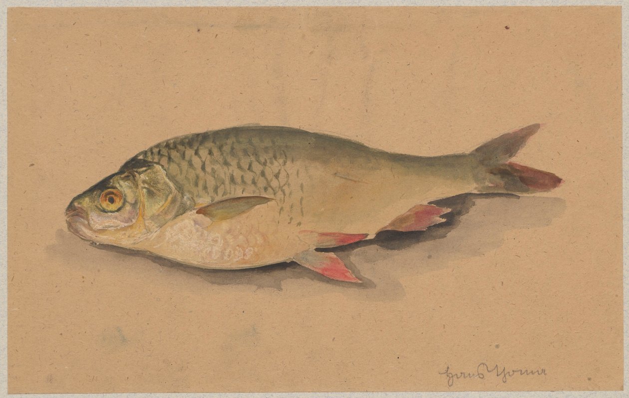 Pesce da Hans Thoma