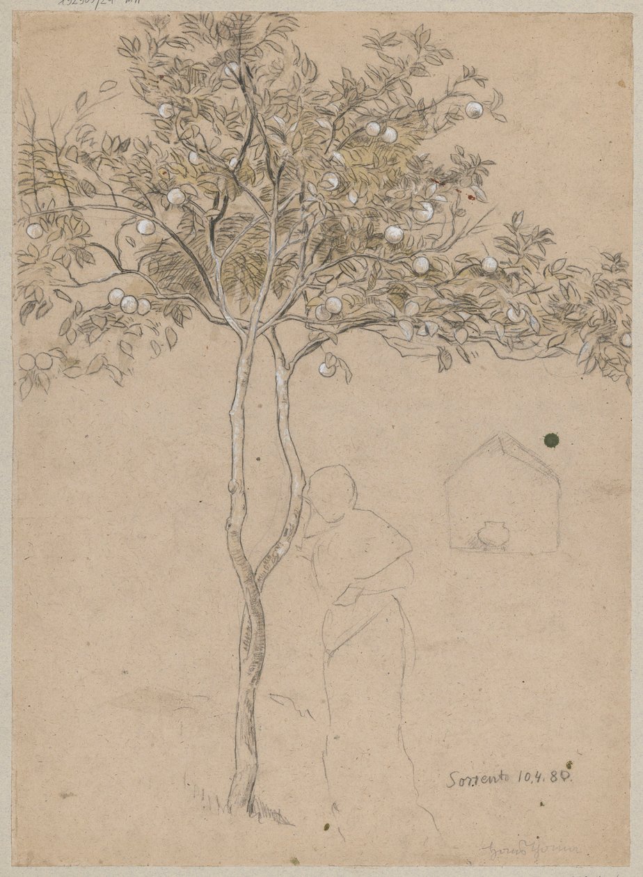 Studio di un arancio dai dintorni di Sorrento. Sagoma di figura femminile da Hans Thoma