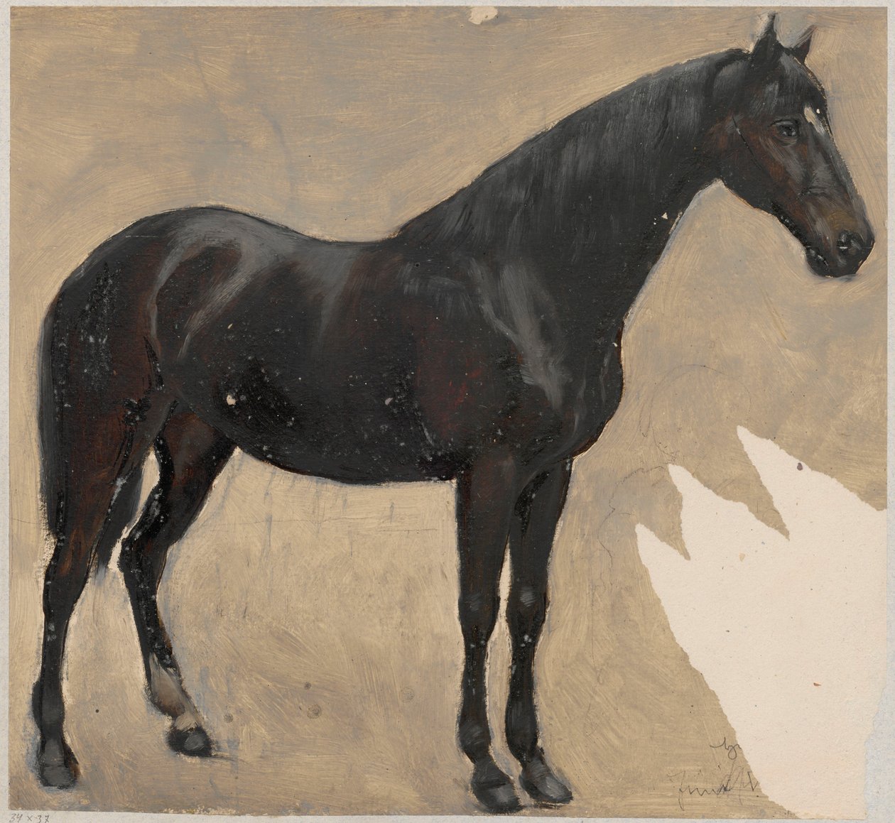 Studio del cavallo da Hans Thoma