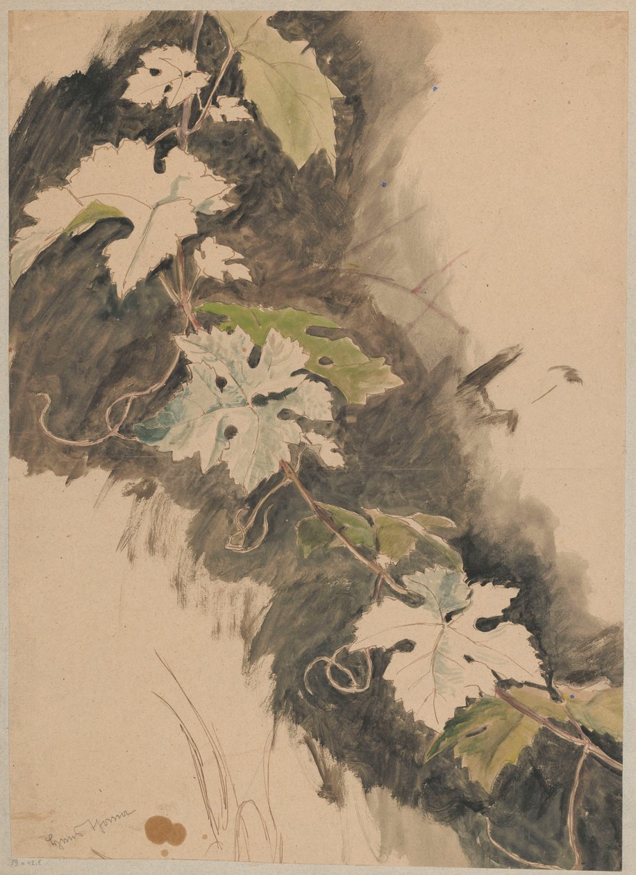 Studio della viticoltura da Hans Thoma