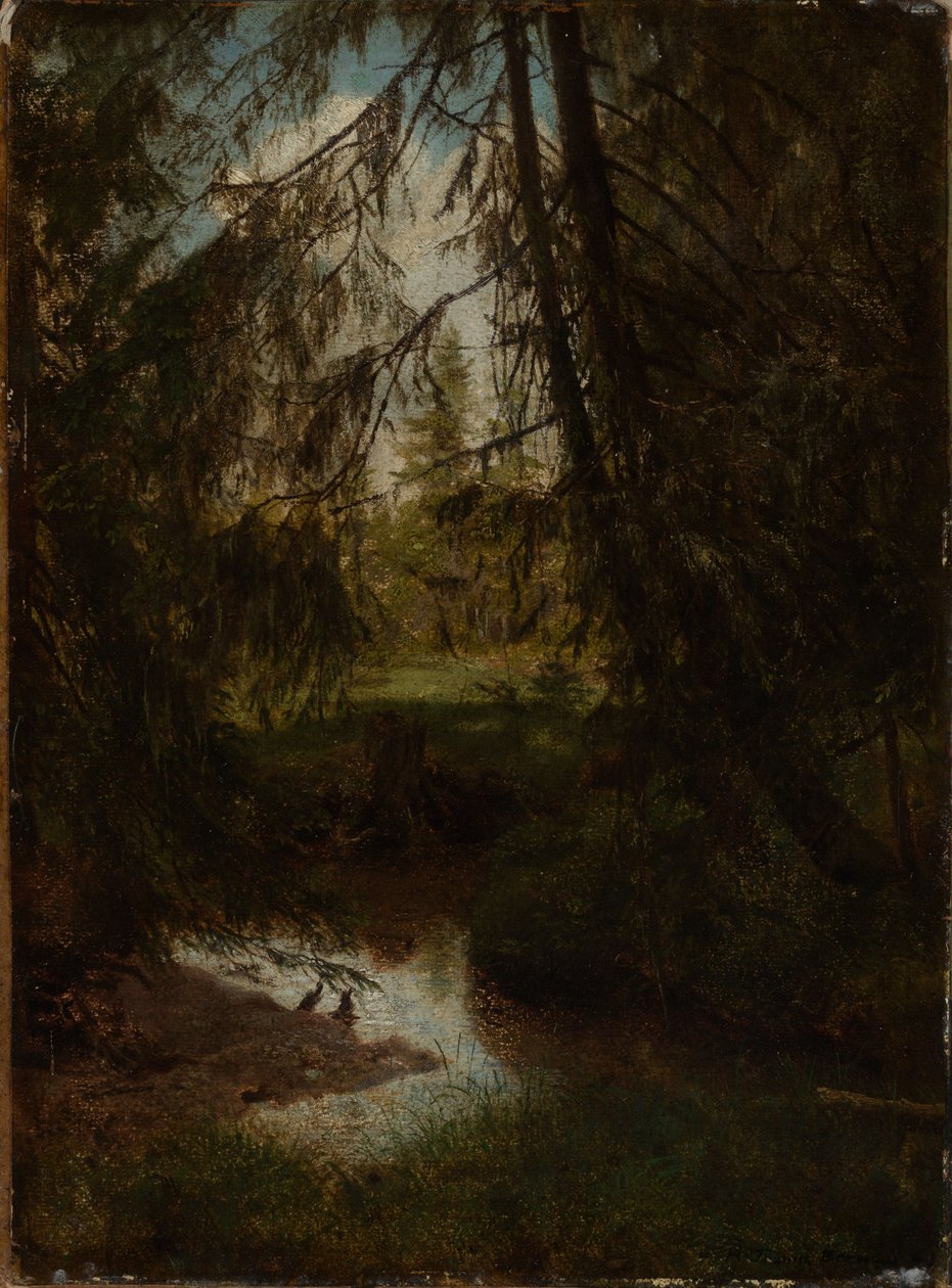 Abeti presso il ruscello nel bosco da Hans Thoma