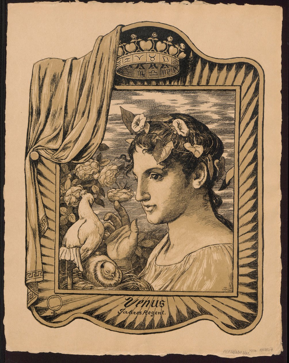 «Venere, sovrana dell
