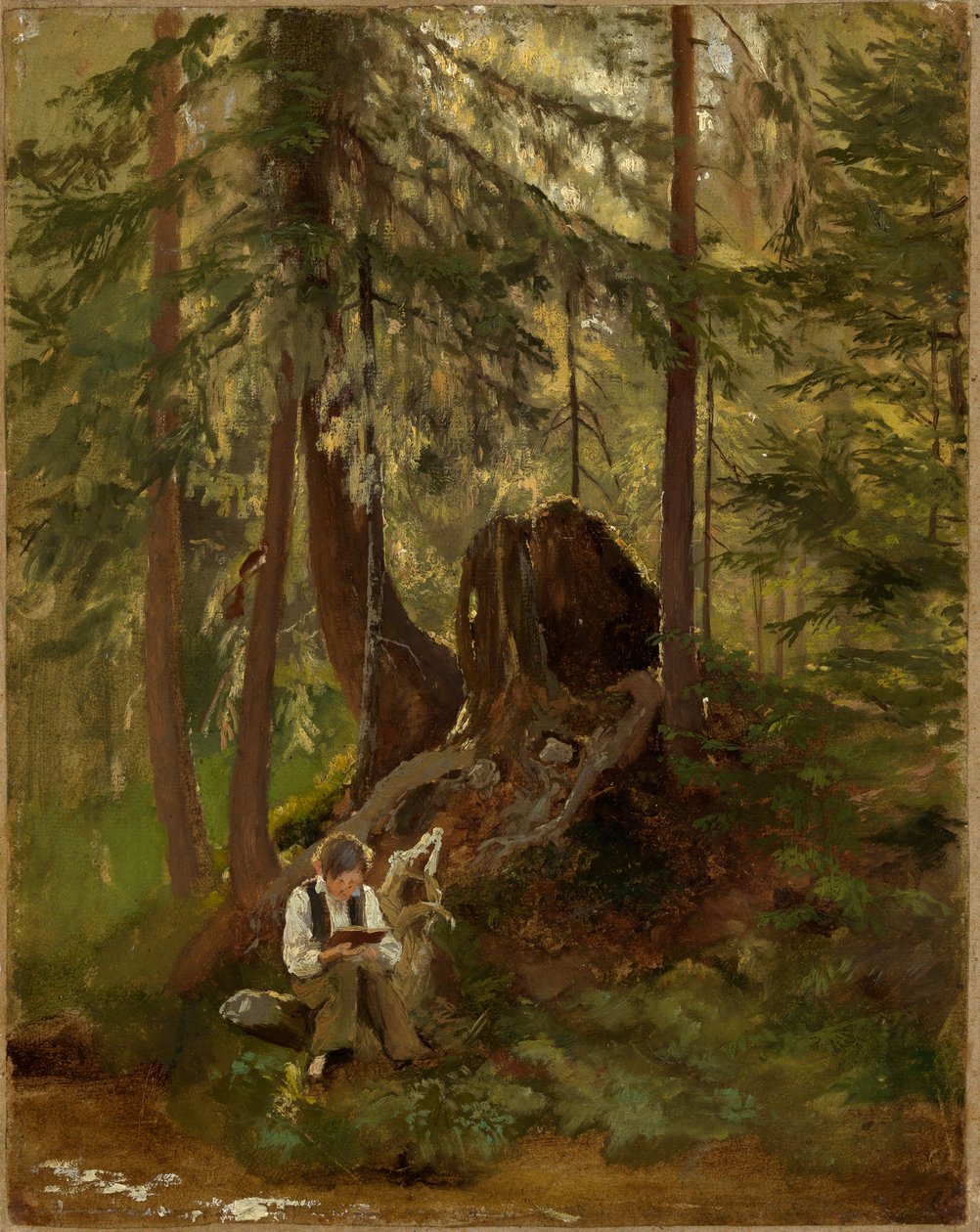 Interno di foresta con ragazzo che legge da Hans Thoma
