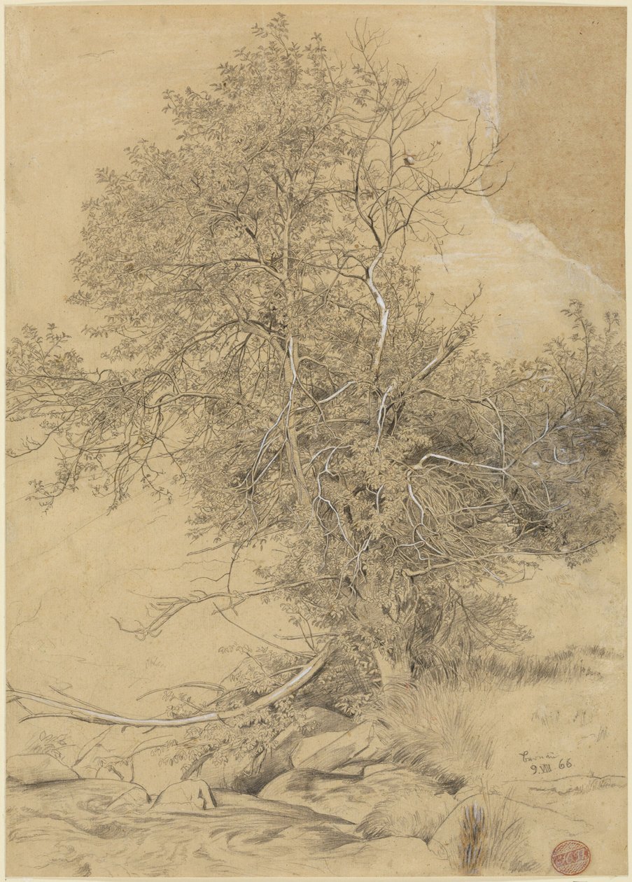 Pascolo presso il ruscello da Hans Thoma