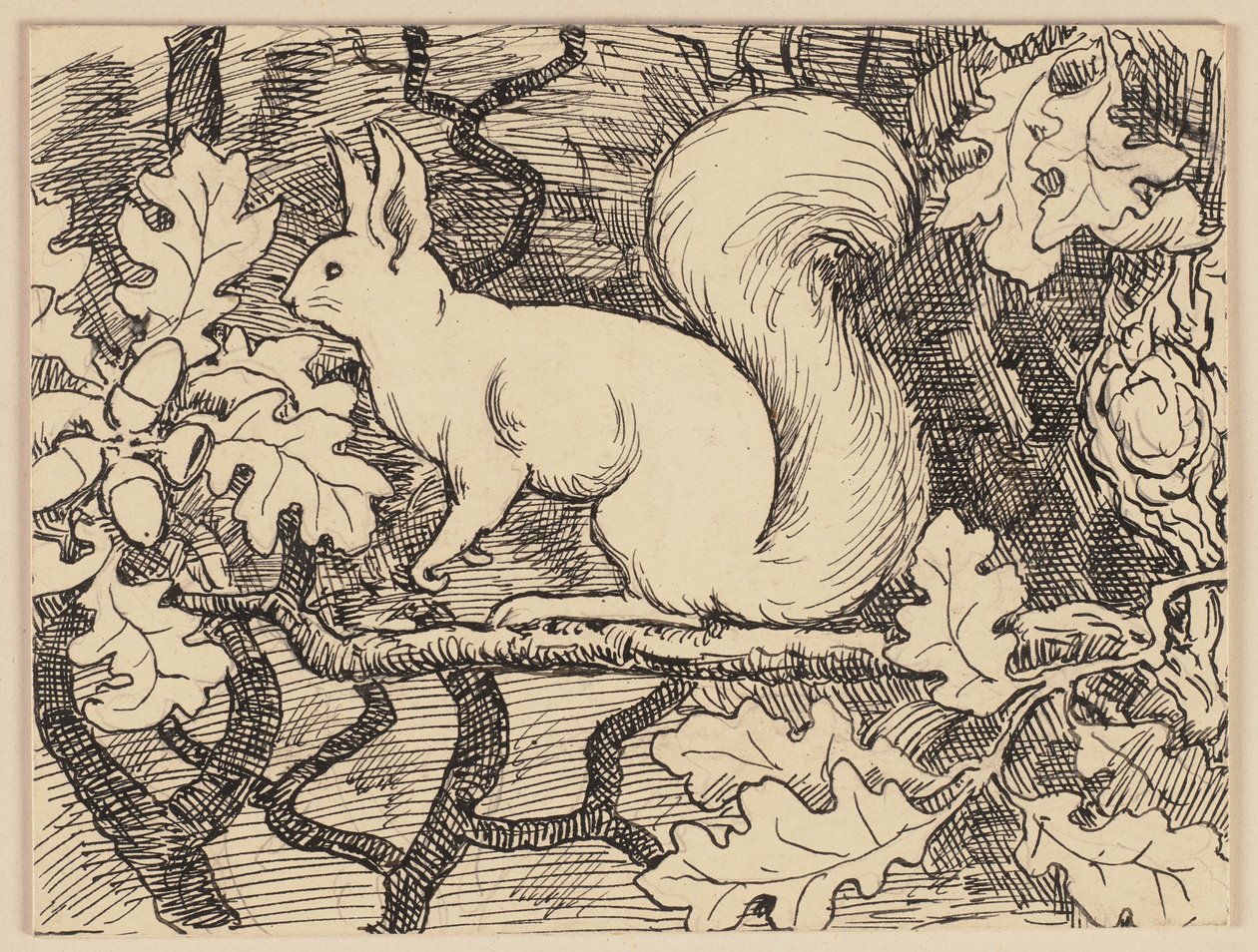 Illustrazione tratta dal libro per principianti: Eichhorn da Hans Thoma