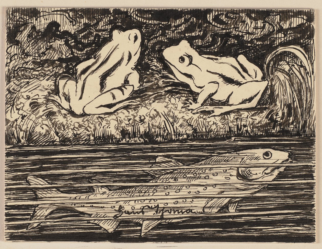 Disegno per un abbecedario: rana da Hans Thoma