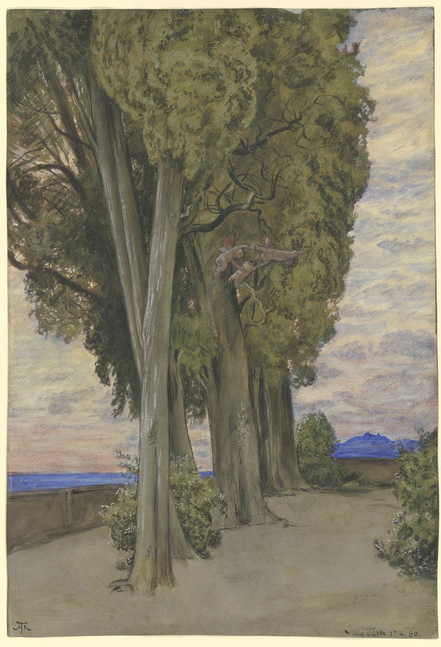 Cipressi a Villa d