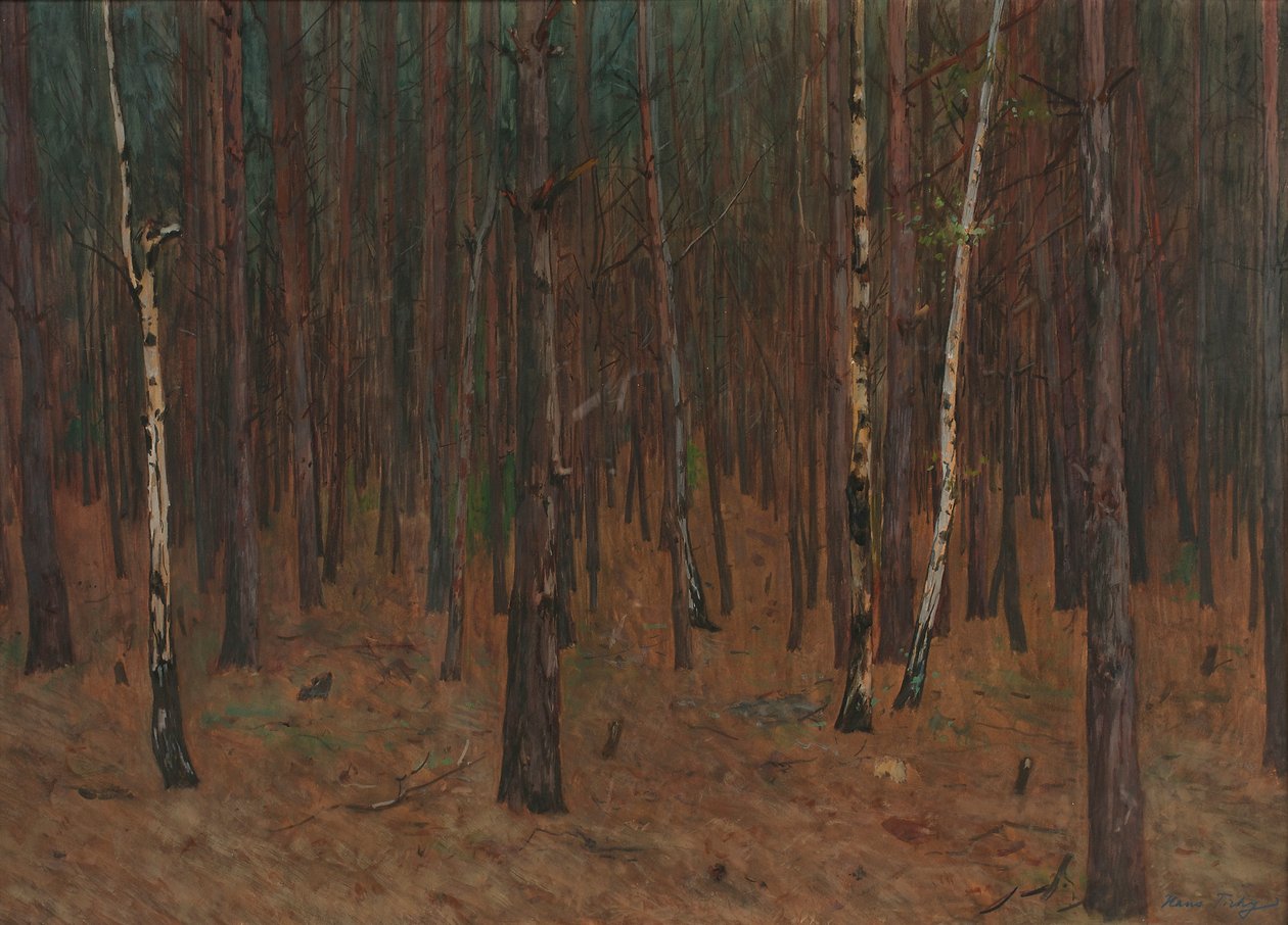 Interno del bosco da Hans Tichy